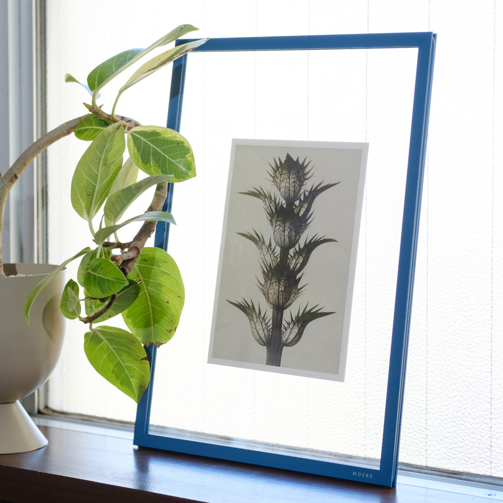 MOEBE FRAME ペトロールブルー 2サイズ