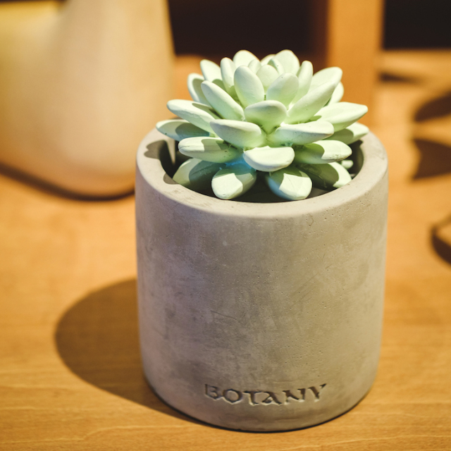 【DULTON】FRAGRANCE DIFFUSER W.LILY