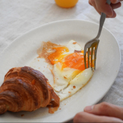 Homeland 信楽焼 オーバル24cm/白