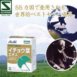 【ドイツ・シュワーベ製薬】’世界トップブランド商品’シュワーベ　ギンコ