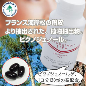 【スイス・フォーファーリサーチ社】’世界標準’ピクノジェノール　ライフ