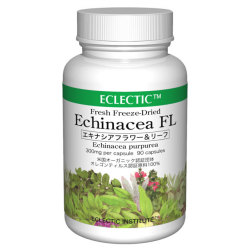 エクレクティックエキナシア（FL）