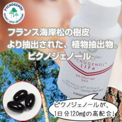【スイス・フォーファーリサーチ社】’世界標準’ピクノジェノール　ライフ