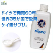 シリシア