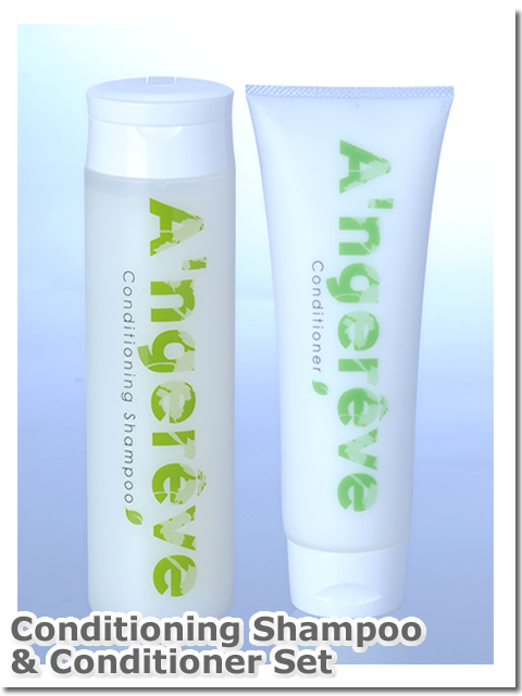 【特別セット割引・送料無料】美容室専売　A'ngereve　コンディショニングシャンプー(３１０mL)＆コンディショナー(２７０g)セット