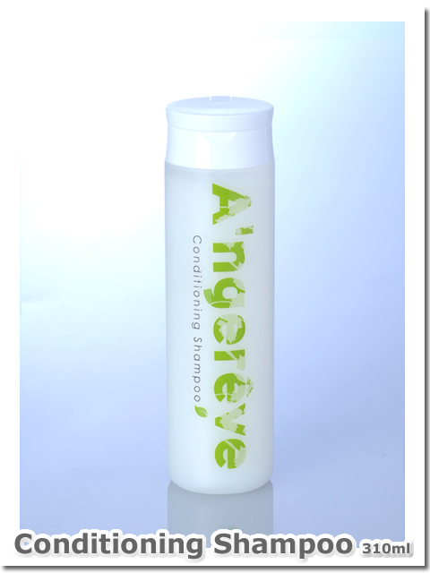 【特別セット割引・送料無料】美容室専売　A'ngereve　コンディショニングシャンプー（３１０mL）２本セット