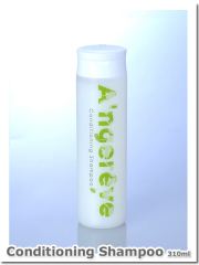 【特別セット割引・送料無料】美容室専売　A'ngereve　コンディショニングシャンプー（３１０mL）２本セット