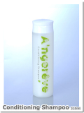 【特別セット割引・送料無料】美容室専売　A'ngereve　コンディショニングシャンプー（３１０mL）２本セット