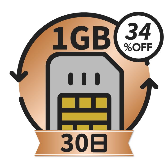 KAZUNA eTalk5 グローバル通信チャージ＜1GB/30日＞