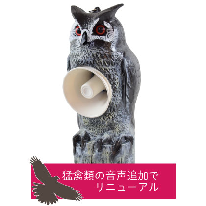 トリサッタトップ