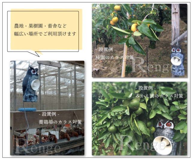 送料無料】新発売！カラス対策 特に群れのカラス対策におススメです