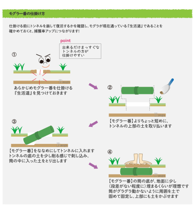 モグラに困ったら捕獲がいちばん 筒型両面扉式 モグラ捕獲器 タイガー モグラ一番 2本セット Tmi 2 モグラ対策 Renge レンゲ