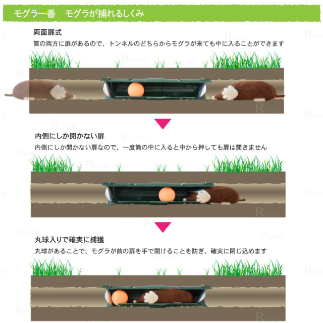 畑のモグラ対策に モグラに困ったら捕獲がいちばん！ 筒型両面扉