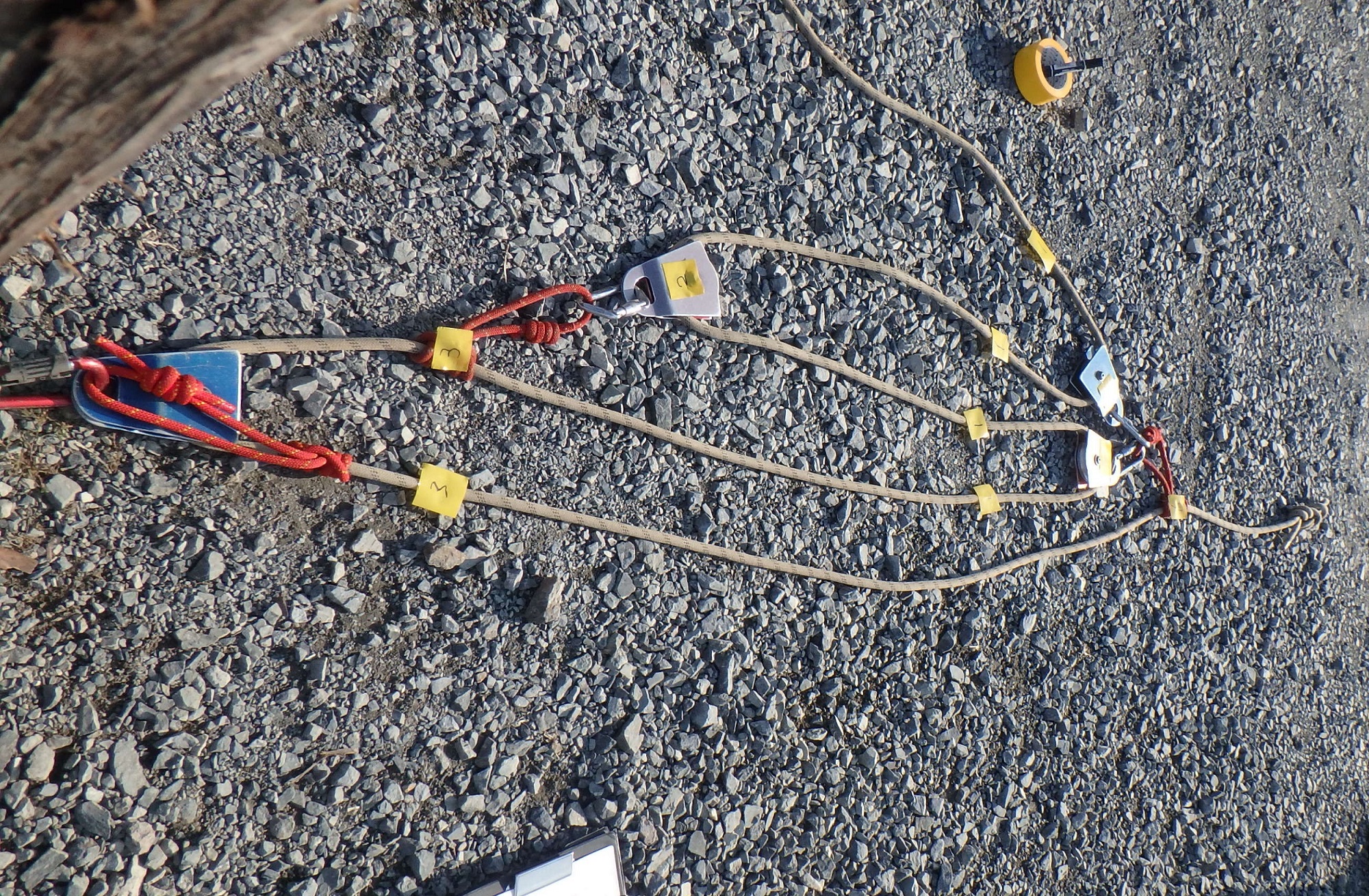 技術コンサルティング