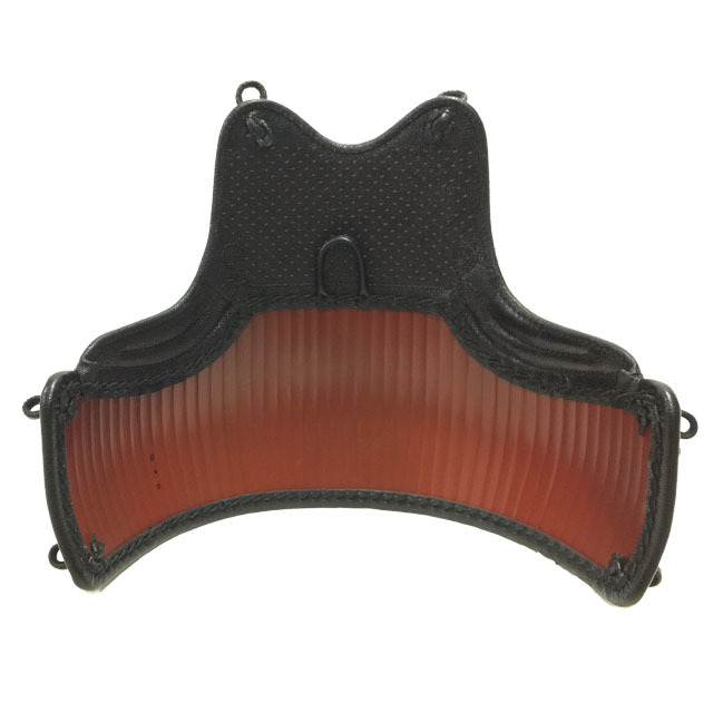 剣道 50本型ヤマト胴 ジュラシックゴールド塗 胸山飾り 中学生・高校生  