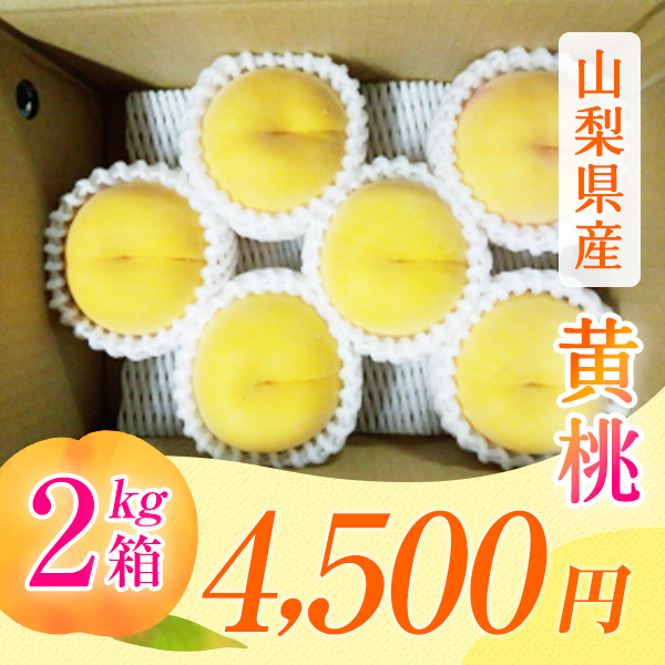 【山梨県産　桃 エッグピーチ】【黄　桃】（８月上旬頃～）【２ｋｇ箱】