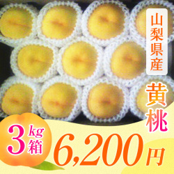 【山梨県産　桃　エッグピーチ】【黄　桃】（８月上旬頃～）【３ｋｇ箱】