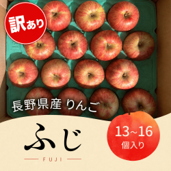 長野県 山形村産 りんご ☆100箱限定☆【訳あり商品】【傷あり、不揃い商品】（１３個～１６個入箱）【ふじ（11月上中旬頃～11月下旬頃）】☆100箱限定☆
