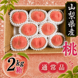 嶺鳳（８月上旬頃～）【２ｋｇ箱】【通常品）】