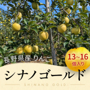 長野県 山形村産 りんご《品種：シナノゴールド》（１３個～１６個入箱）【１０月下頃～１１月上旬頃】