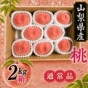 日川白鳳（７月上旬頃～）【２ｋｇ箱】【通常品）】