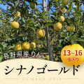 長野県 山形村産 りんご《品種：シナノゴールド》（１３個～１６個入箱）【１０月下頃～１１月上旬頃】