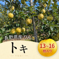 長野県 山形村産 りんご《品種：とき》（１３個～１６個入箱）【９月上中旬頃～９月中下旬頃】