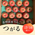 長野県 山形村産 りんご《品種：つがる》（１３個～１６個入箱）【８月下旬～９月上旬】