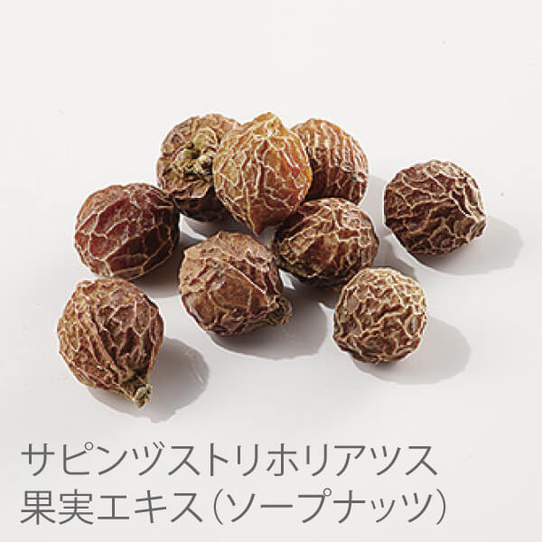ドッグセーフティーワン オーガニックシャンプー