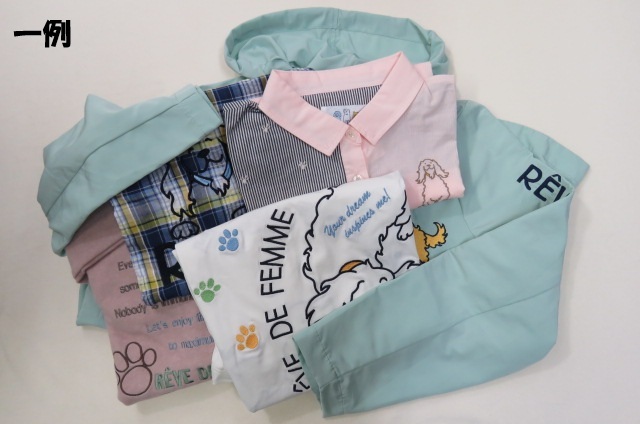 255-1002 ☆ 2026年 ブルゾン入り福袋 ☆ サイズ：M・L・XL