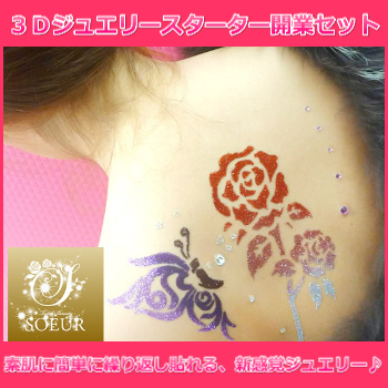 ３Ｄジュエリースターター開業セット　認定講師通信講座【認定証込み】送料込