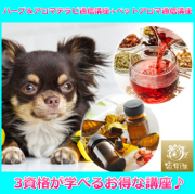 ハーブ＆アロマテラピーアドバイザー通信講座+ペットアロマ通信講座【送料無料】３資格