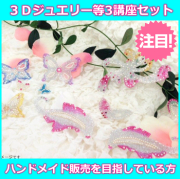 ３Ｄジュエリー＆３Ｄマタニティ＆３Ｄウェディング トリプル資格　通信講座【特殊シート付】