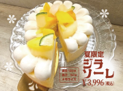 [29品目アレルゲン不使用]【 夏限定 ジラソーレ】アイスクリーム 牛乳不使用 豆乳不使用 プレゼント ギフト 贈り物 お祝い  贈答用  アイスケーキ 　ケーキ 100%植物性