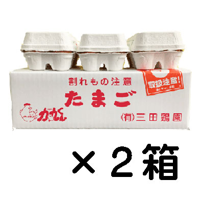 力丸くんＬ３０個入×２箱