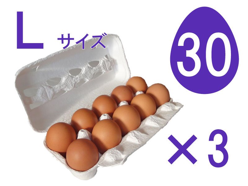 力丸くんLサイズ30個入 力丸くん ネットショップ