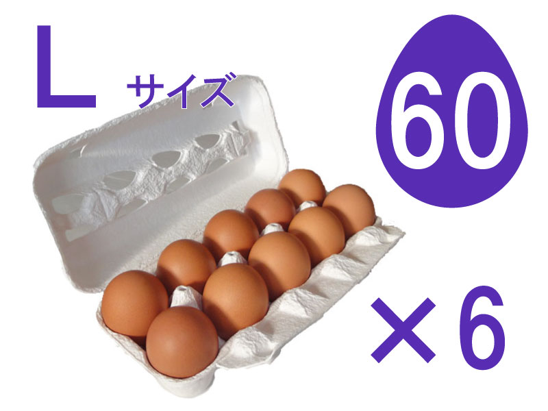 Ｌ60個入