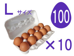 L100個入