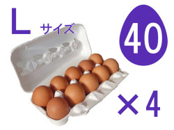 Ｌ40個入