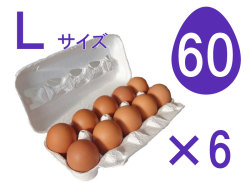 Ｌ60個入