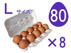 Ｌ80個入