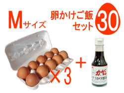 卵かけご飯セットM30個入 力丸くん ネットショップ