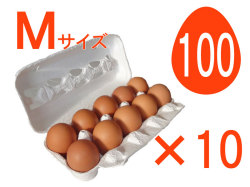 Ｍ100個入