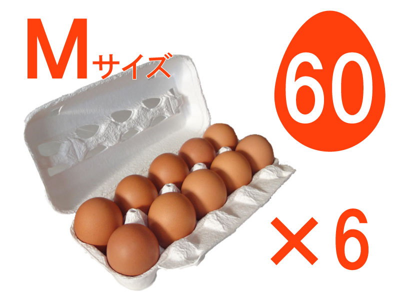 Ｍ６０個入