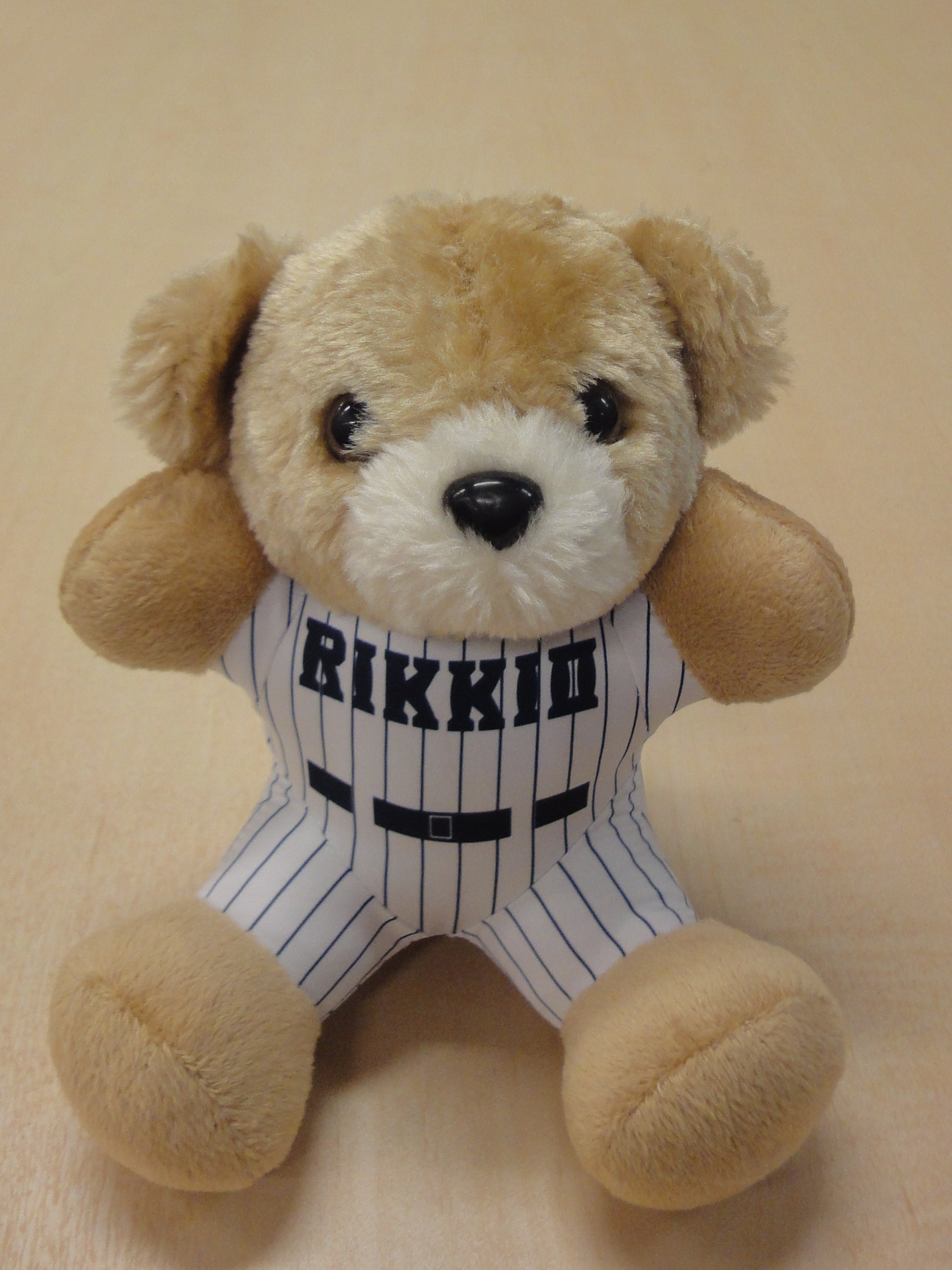 立教ベア 野球部 ベージュ 立教グッズ ｒikkyo Alumni Shop