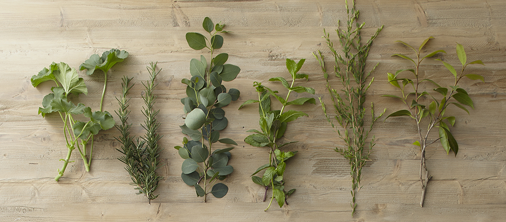 オイルについて