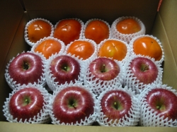 陽豊サンふじ詰合せ