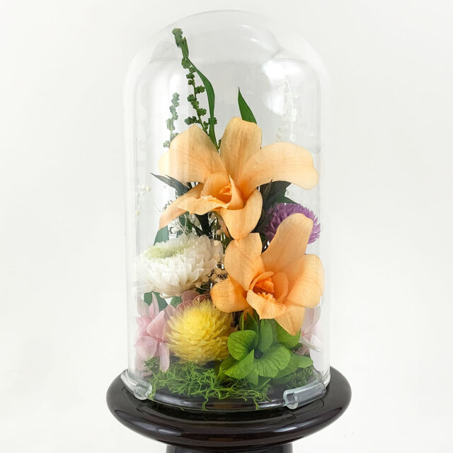 プリザーブドフラワー 仏花 ガラスドーム デンファレ オレンジ