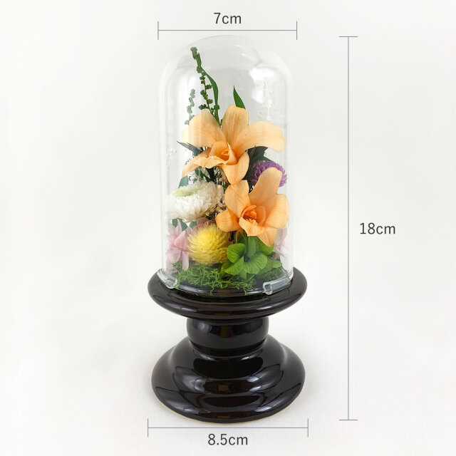 プリザーブドフラワー 仏花 ガラスドーム デンファレ オレンジ