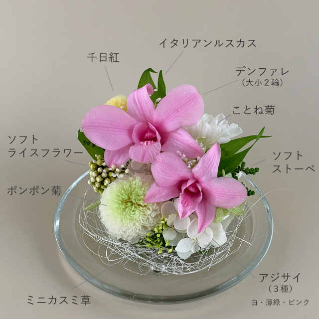ガラスドームのプリザーブドフラワー デンファレ ピンク｜お供え用